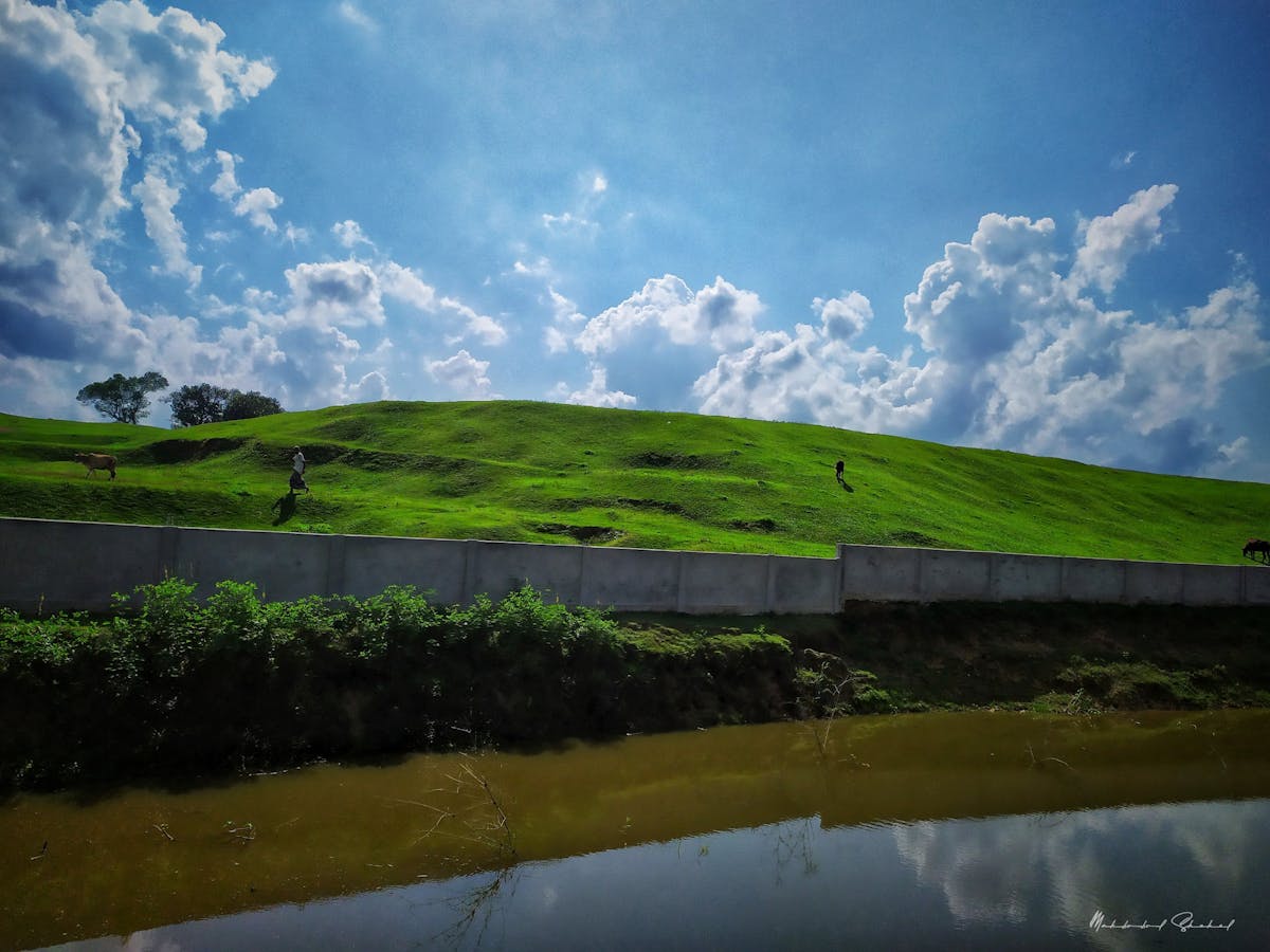 Asipi Alerta 🔊: ¿Tu Marca Protegida o Robada?