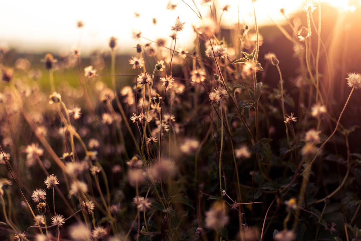 ¿Te has dado cuenta de que la Boredom es una herramienta p...