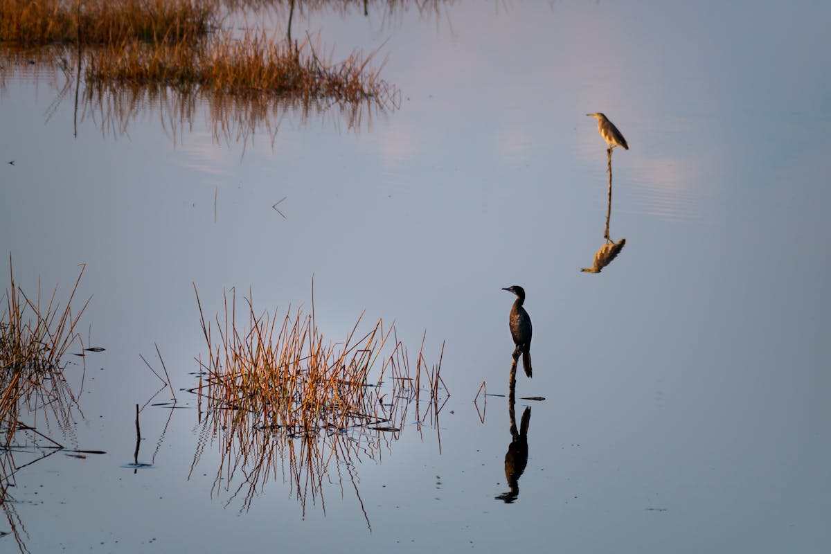 No Mames, ¿Qué Creen Que Es Ciberseguridad? 🚩