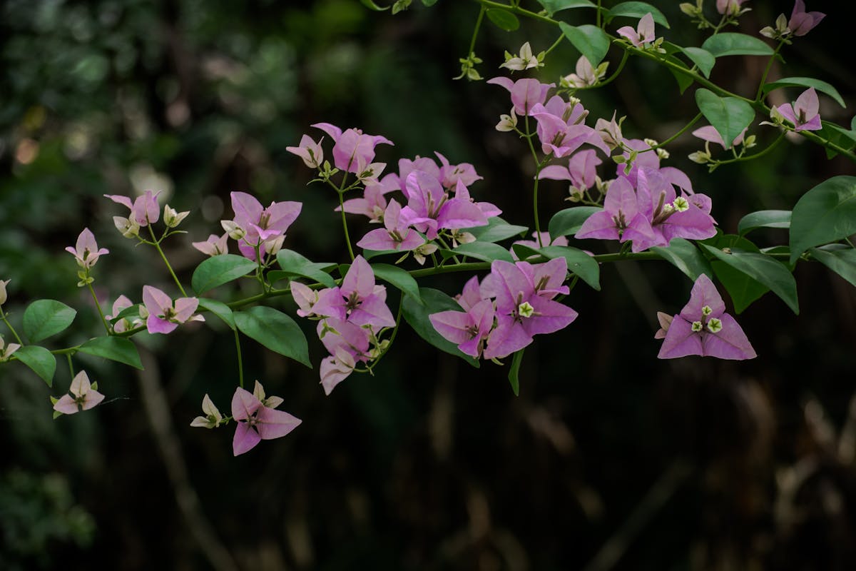 ¿Jarim Roldán Tuvo App de Seguridad o Solo Fue Pura Suerte...
