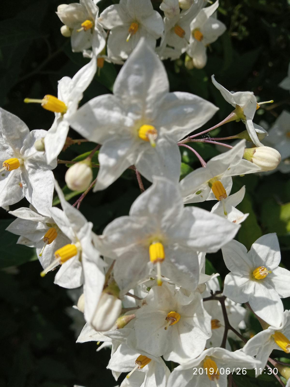 Esto es oro: ¿Two Door Cinema Club en México vale la pena comp...