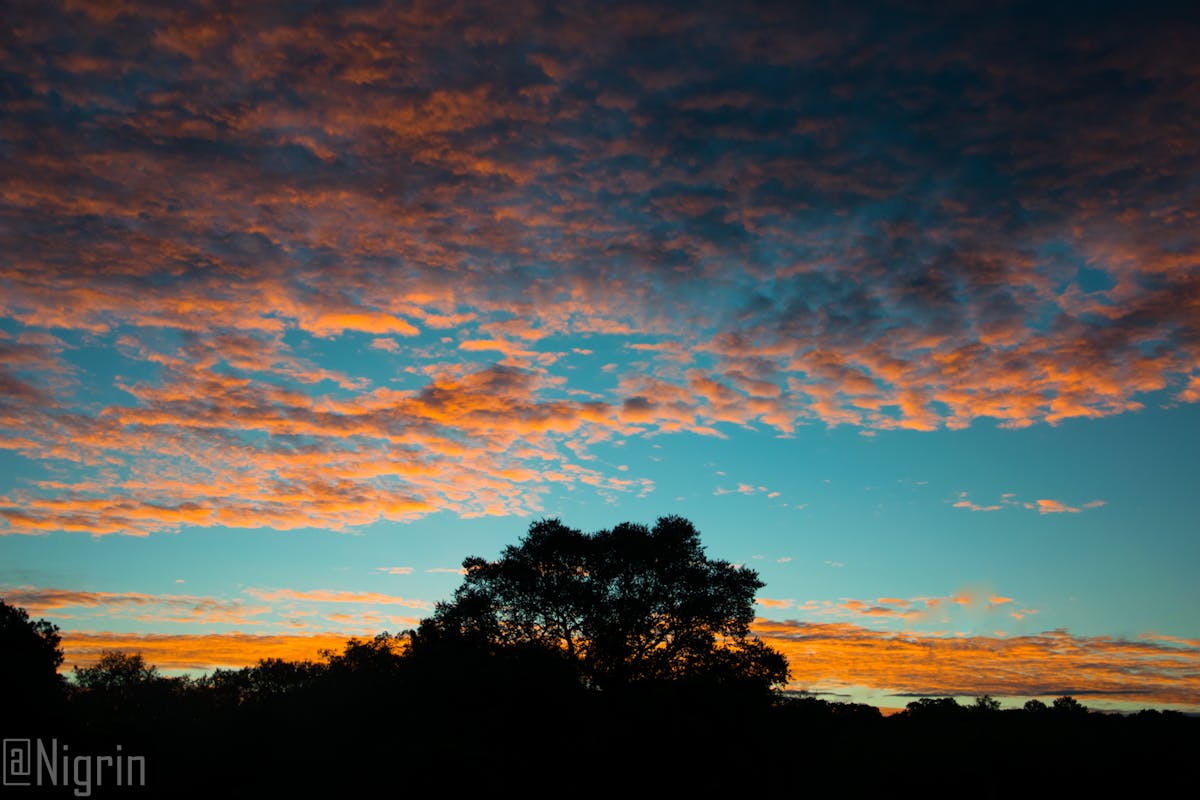 ¿La bolsa está a punto de estallar o es solo el Boom del S...
