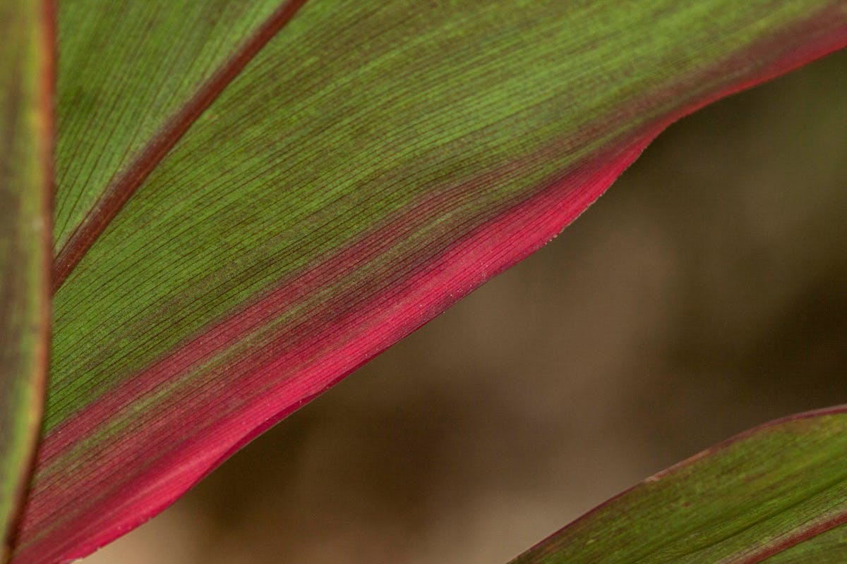 ¿Qué onda con el nuevo ranking de tenistas? 🤡