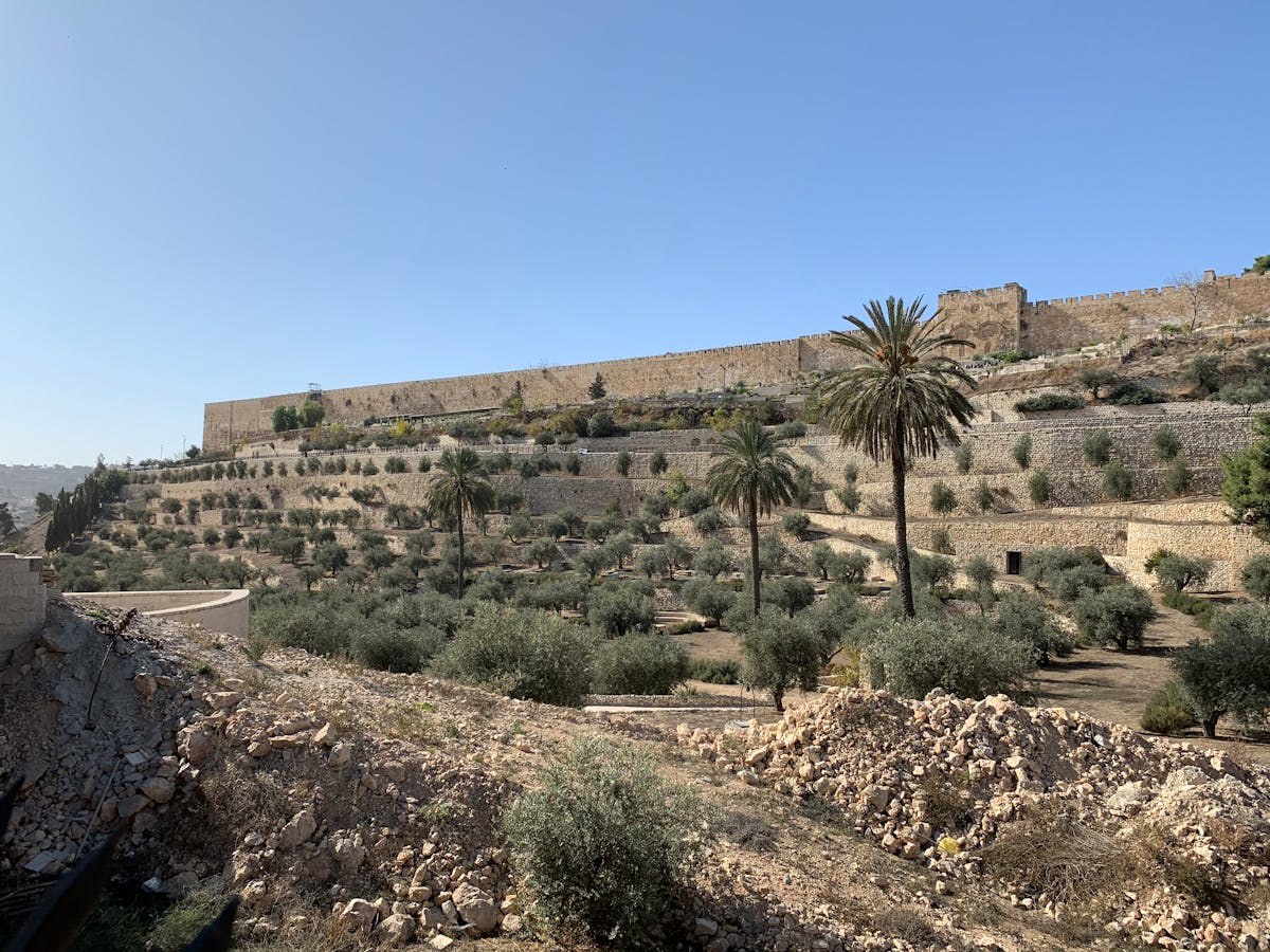 ¿Se Vienen a Venezuela o a Nicaragua? Cómo Ver El Clásico ...