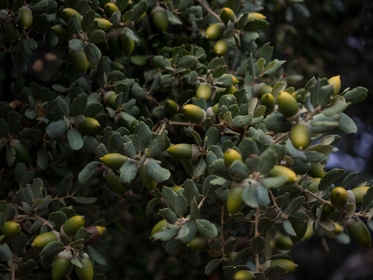 ¿Tu Perfil de Instagram Está Explotando Tus Fotos como Aud...