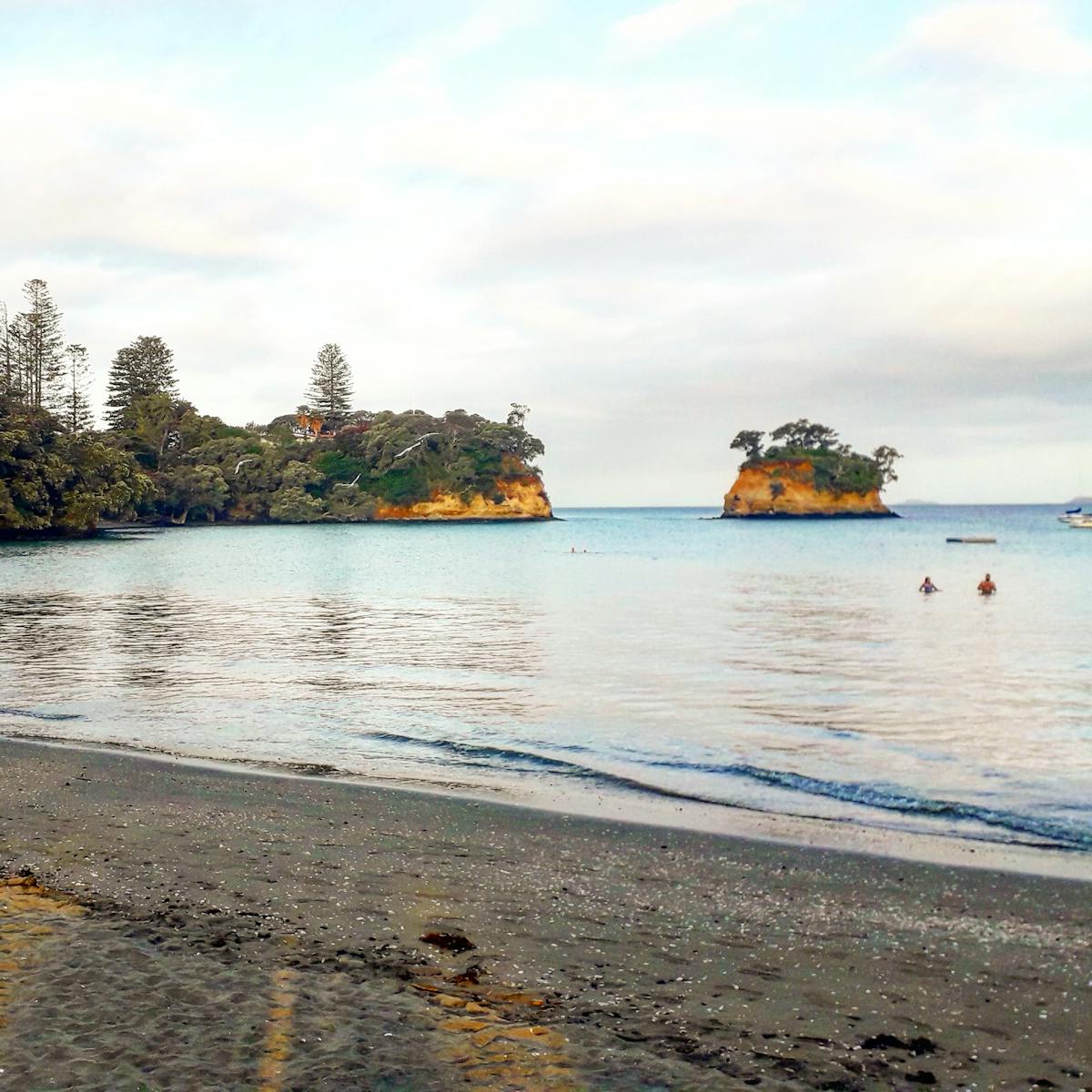 ¿Vinilos firmados en Roma o Falsos a la venta? 🎶