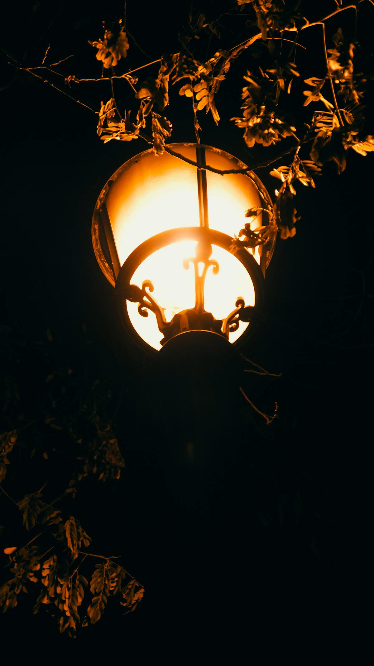 Esto es oro: ¿Sheinbaum vendió la seguridad ciudadana por ...