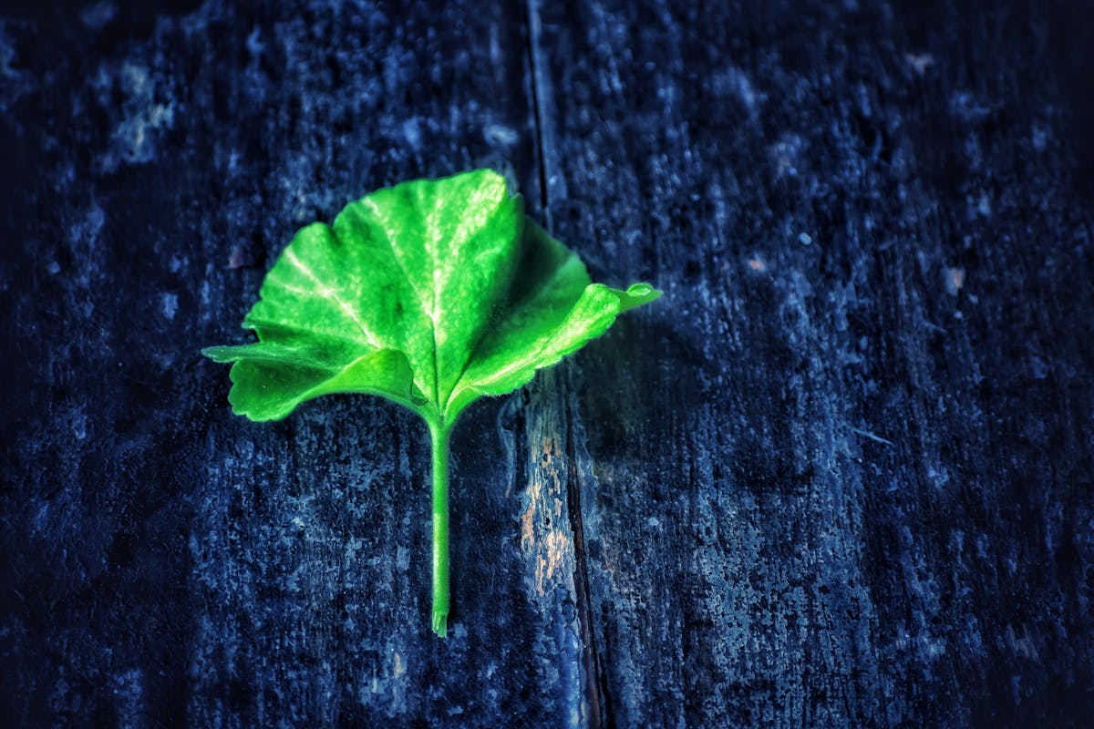 ¿La Titanic de las Empresas? ¡Estamos a punto de hundirnos...