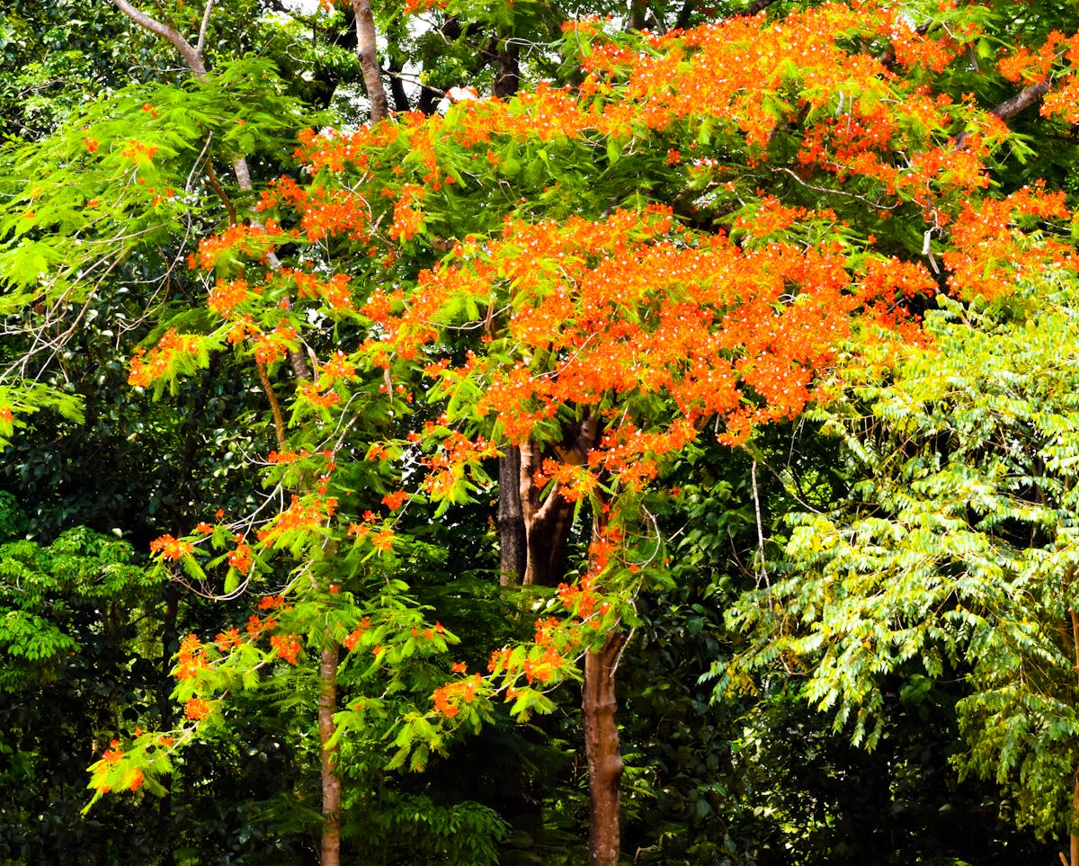 ¿Repetición de la misma foto o goal claramente definido? 📸...