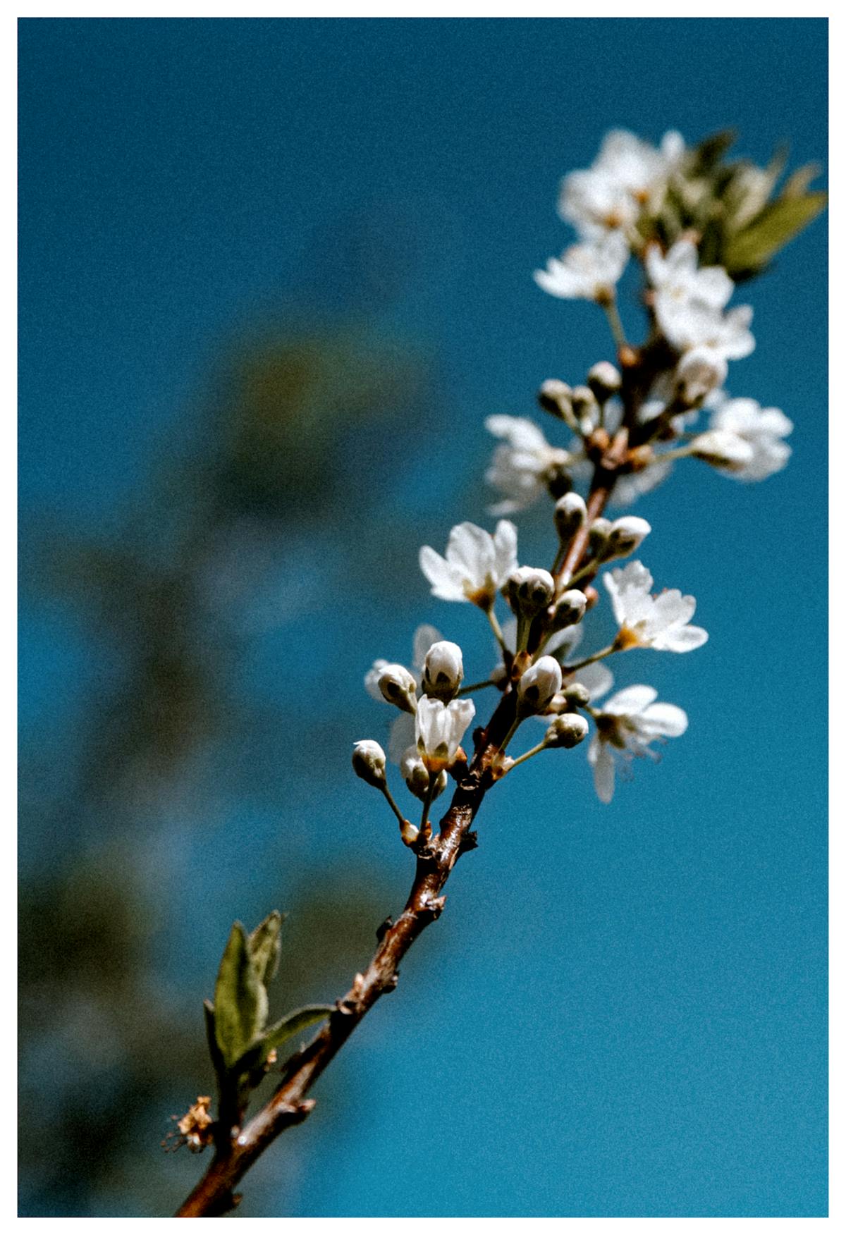 ¿La provincia está vacunando a los que más se necesitan o ...
