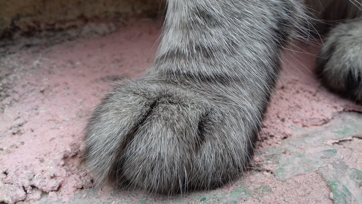 Congreso dividido en Colombia? ¿Algo más que un Reality Show...