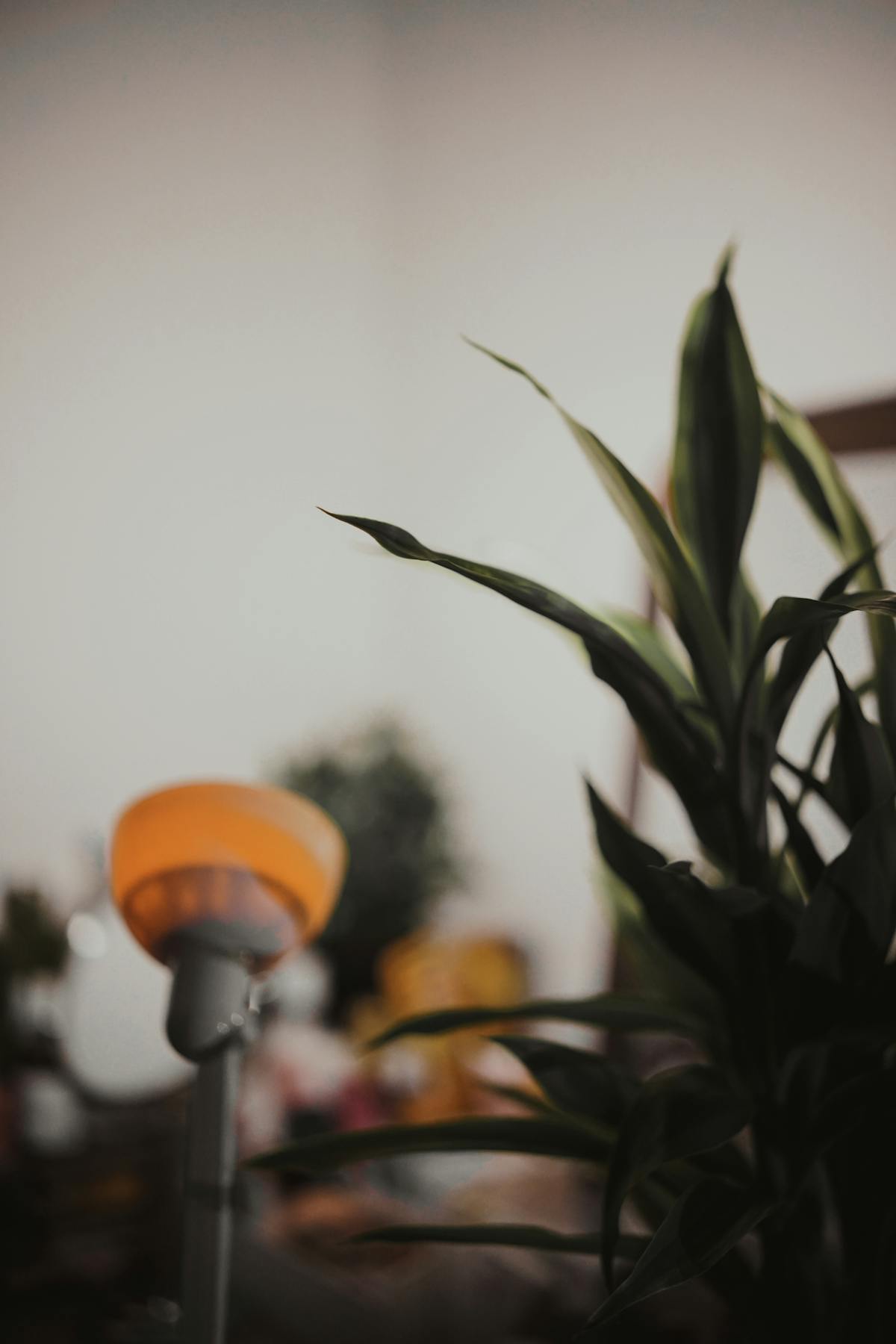 🎉 No te Pases de los Eventos en Bogotá: ¿Qué Ondas Trae el Fue...