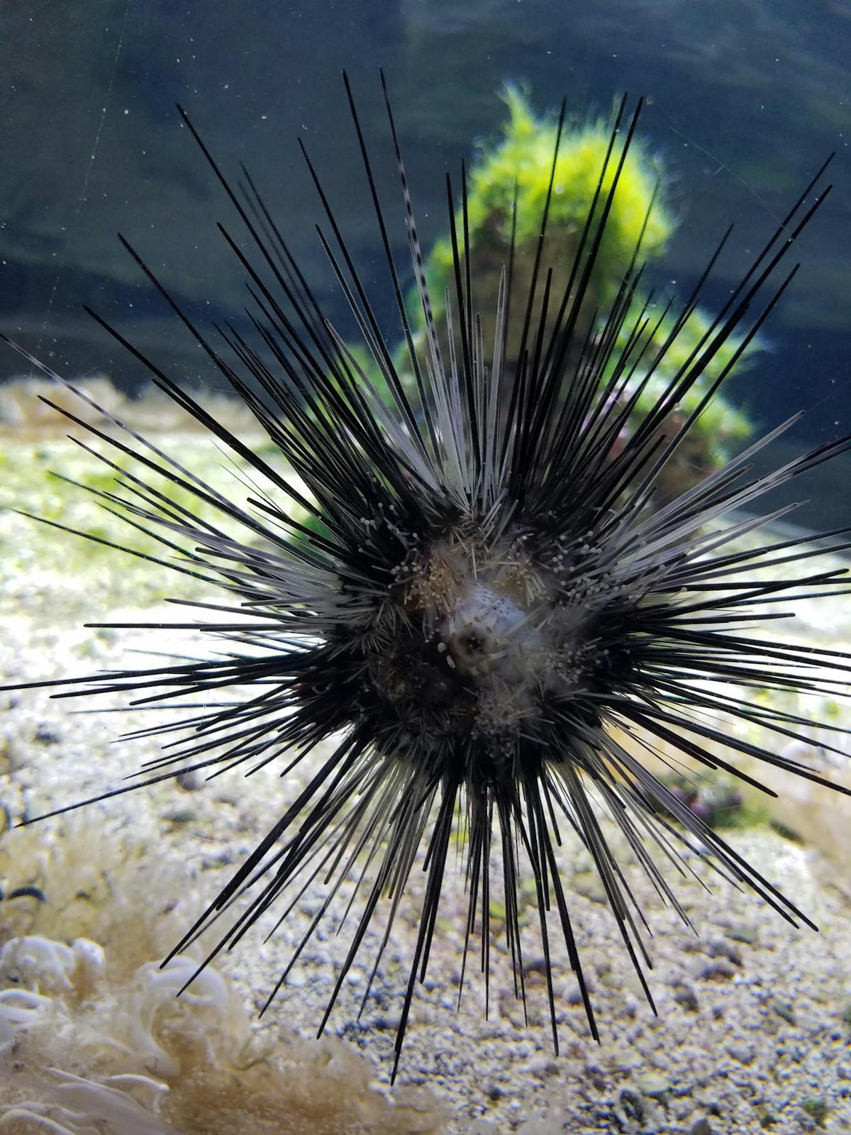 ¿Tu negocio está en Facebook o solo se está riendo de ti? ...