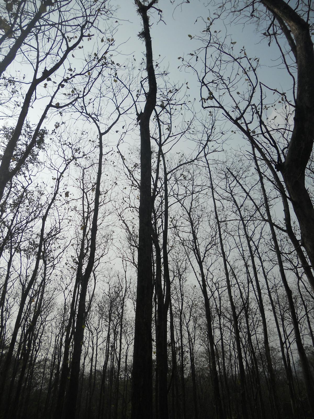 ¿Está Bitcoin a punto de repetir un patrón histórico y di...