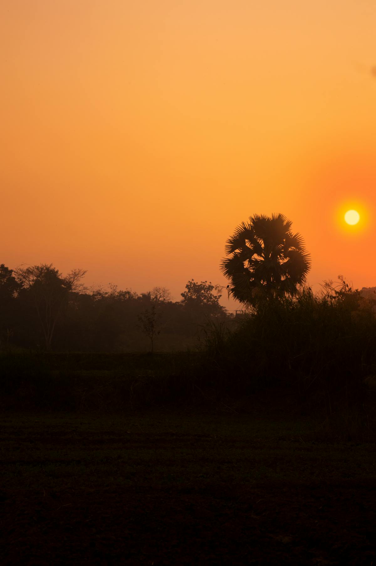 ¿México Ya Se Acabó o Solo Finge Justicia?