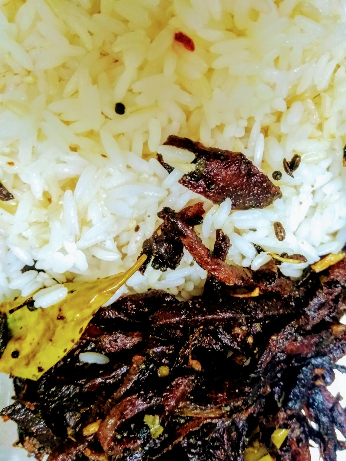 🚨 ¿Llamar a United Airlines de México es Cuestión de Vida...