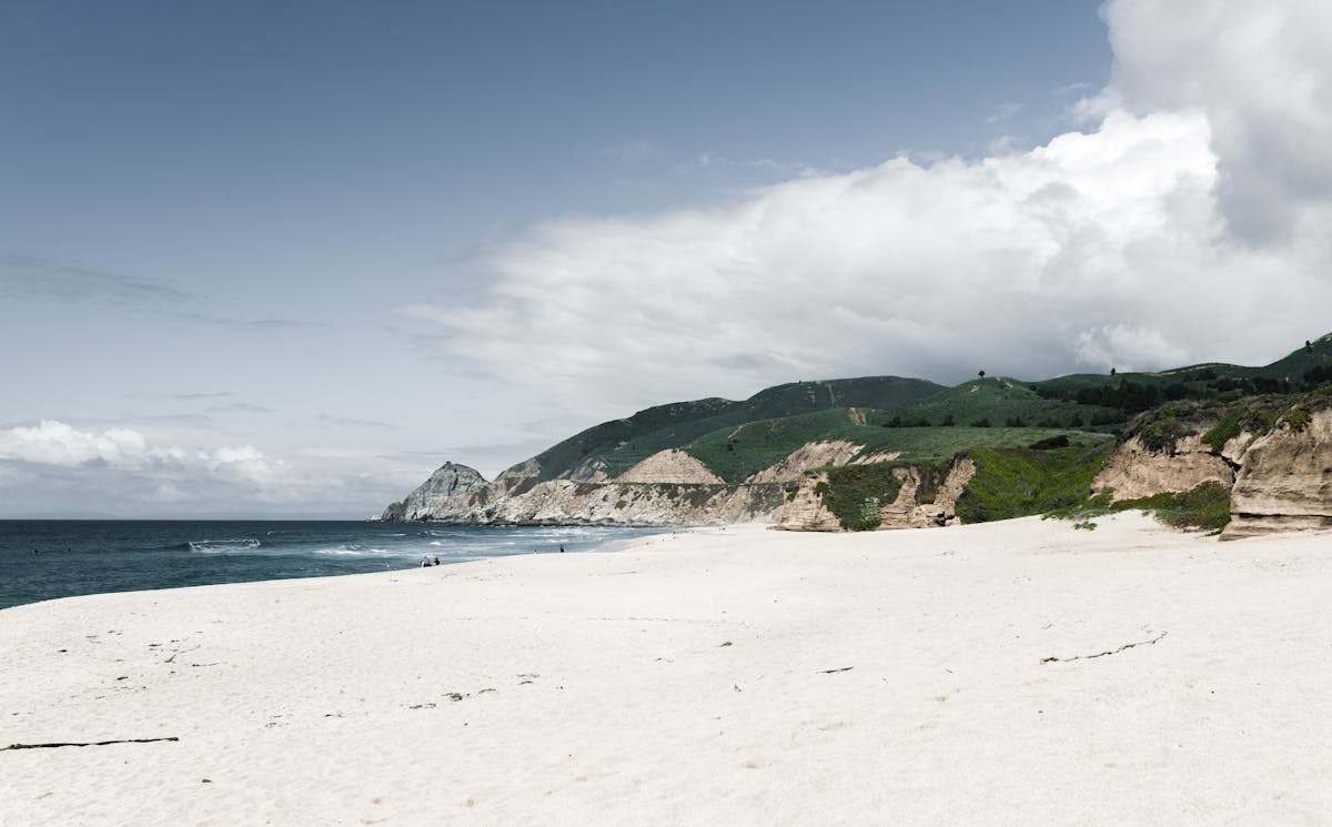 ¿La Fibra Es el Nuevo No Me Digas Nada Para Tu Cerebro?</h...