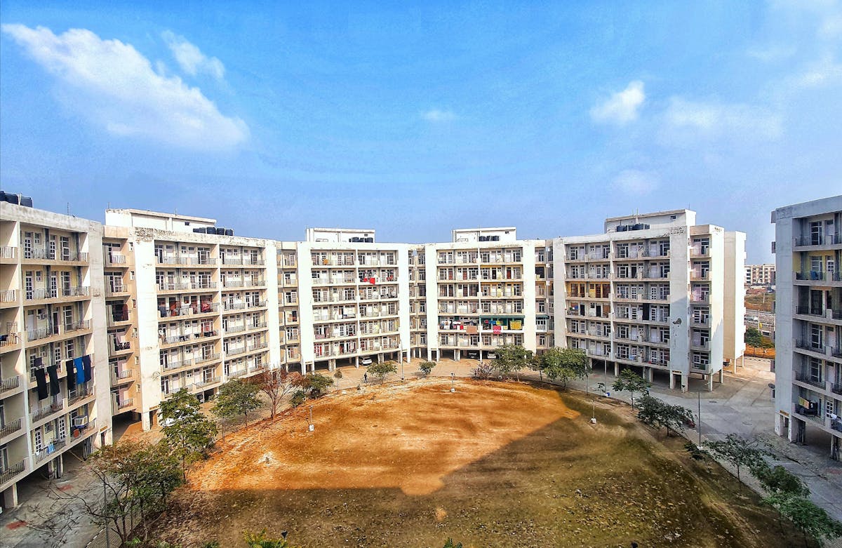 🚩 No Hay Multivitamina para Evitar la Crisis de Encolamien...