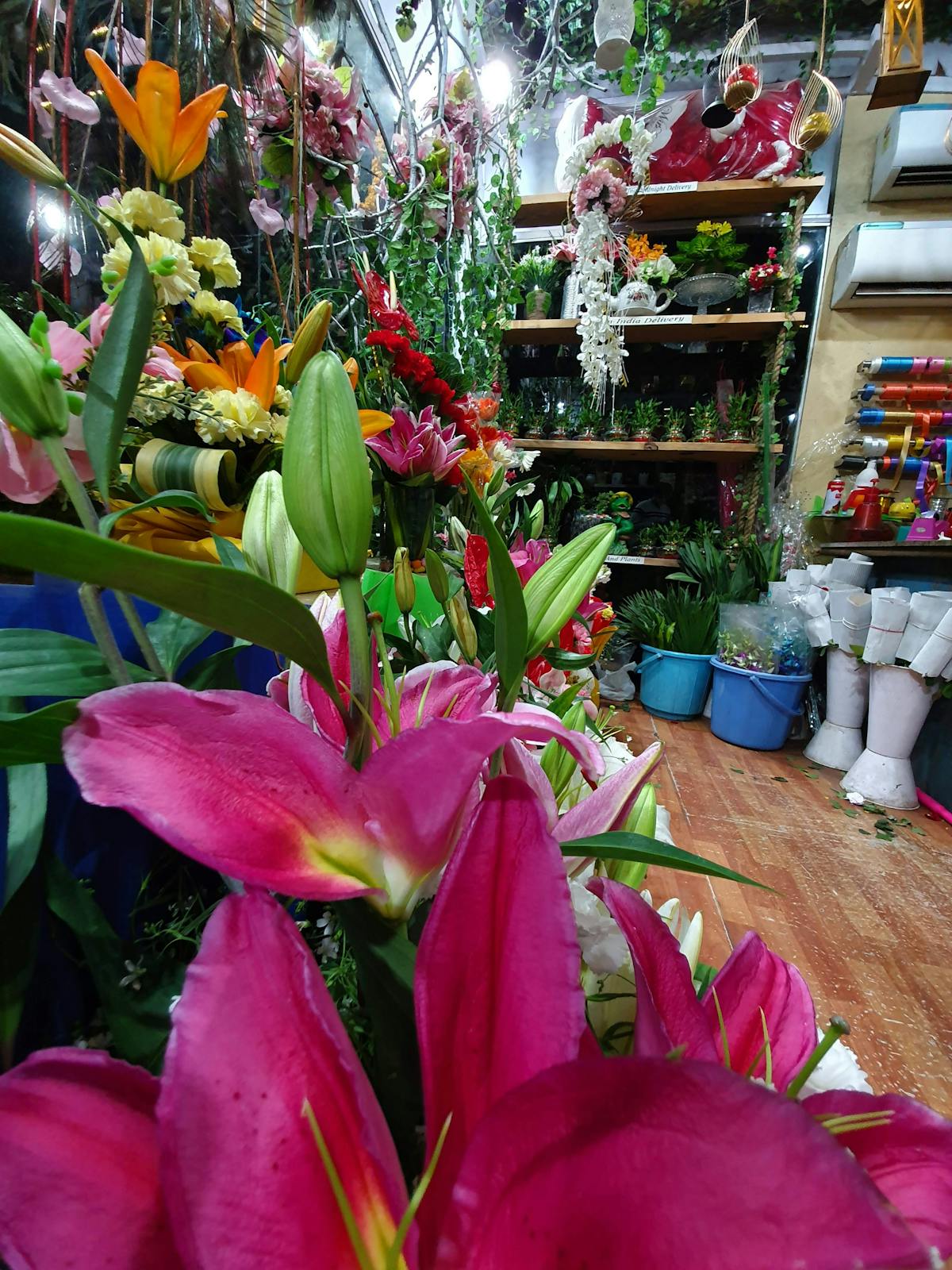 Esto es oro: ¿El Cangrejo Díaz-Canel vendió Cuba a EE.UU.?...