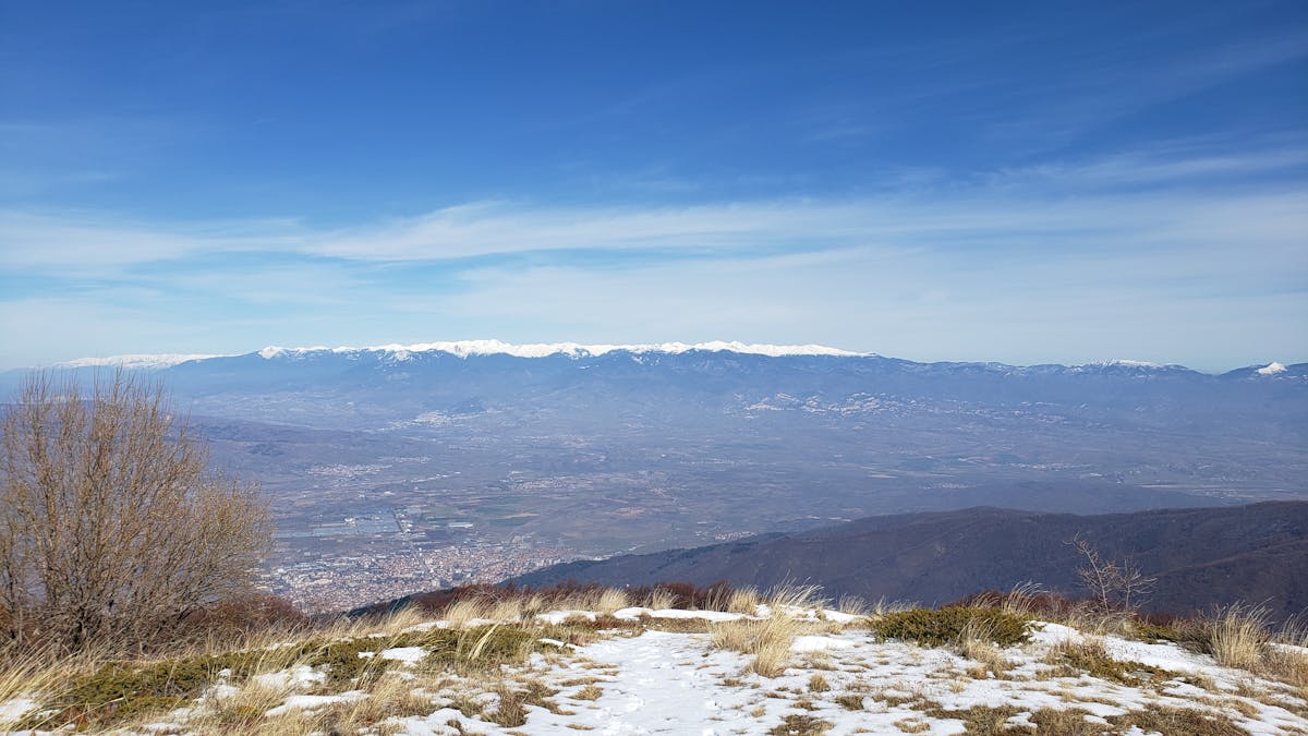 ¿Lanzadores probables o solo estocadas al aire? No...