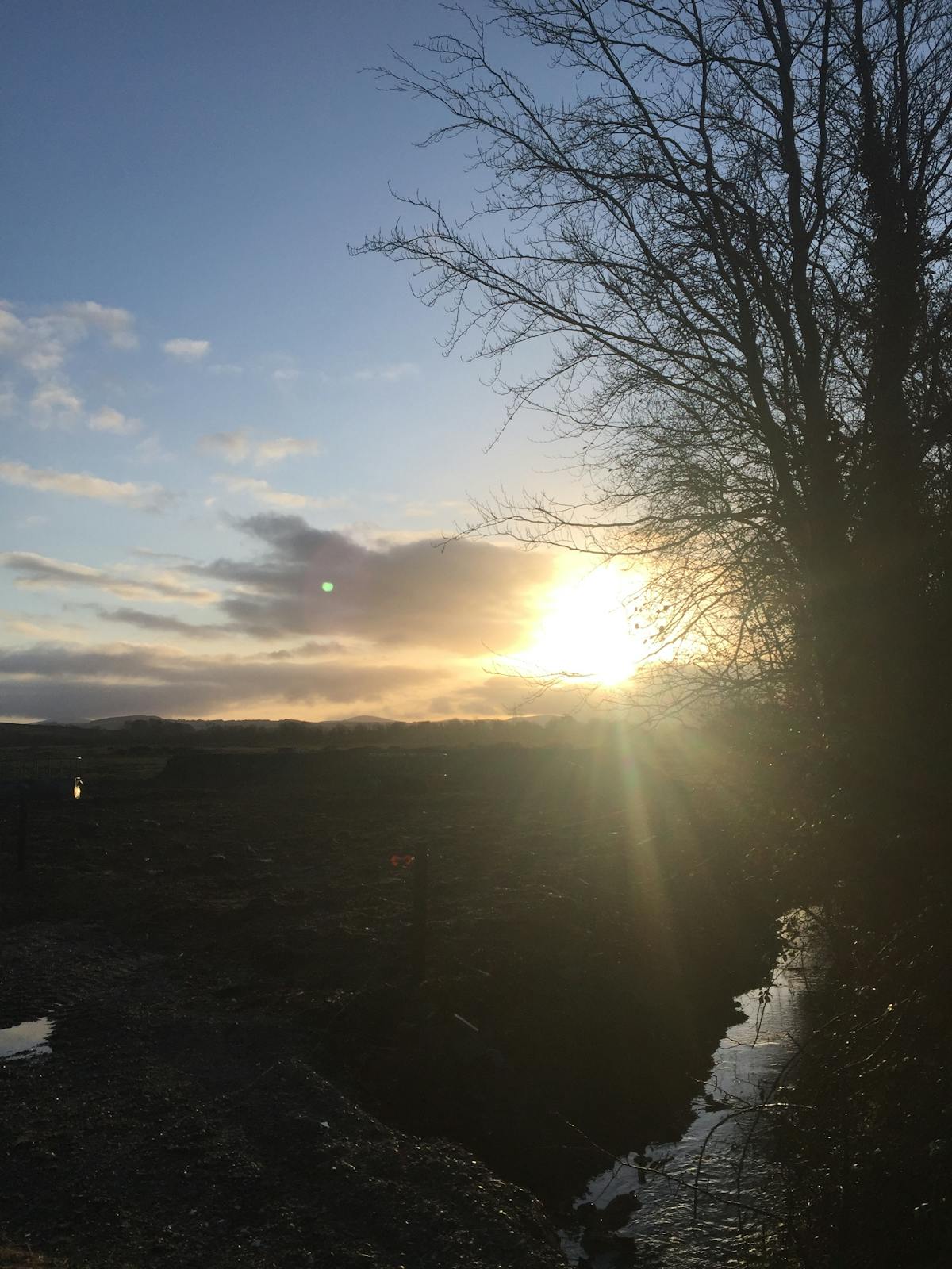 Red PAC: ¿Alguien les dijo que esto es una pirámide? 🚩