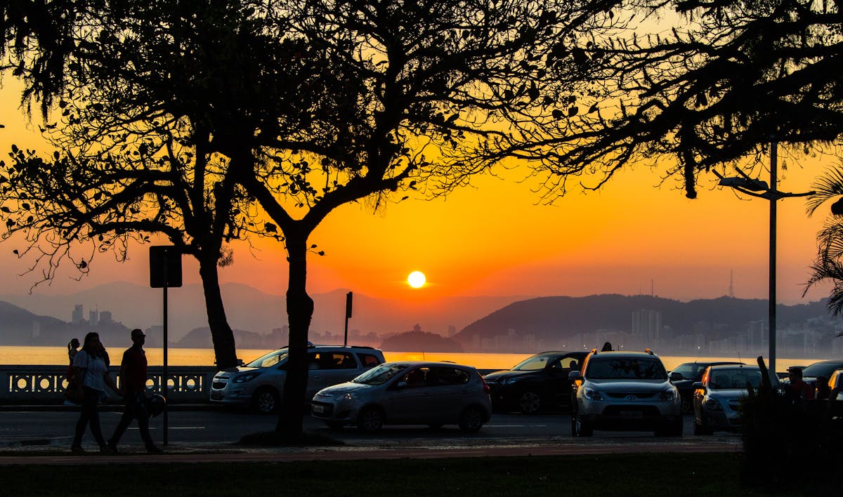 ¿Camarones Instagrambles? 🍽️ 5 Errores Comunes en la Recet...