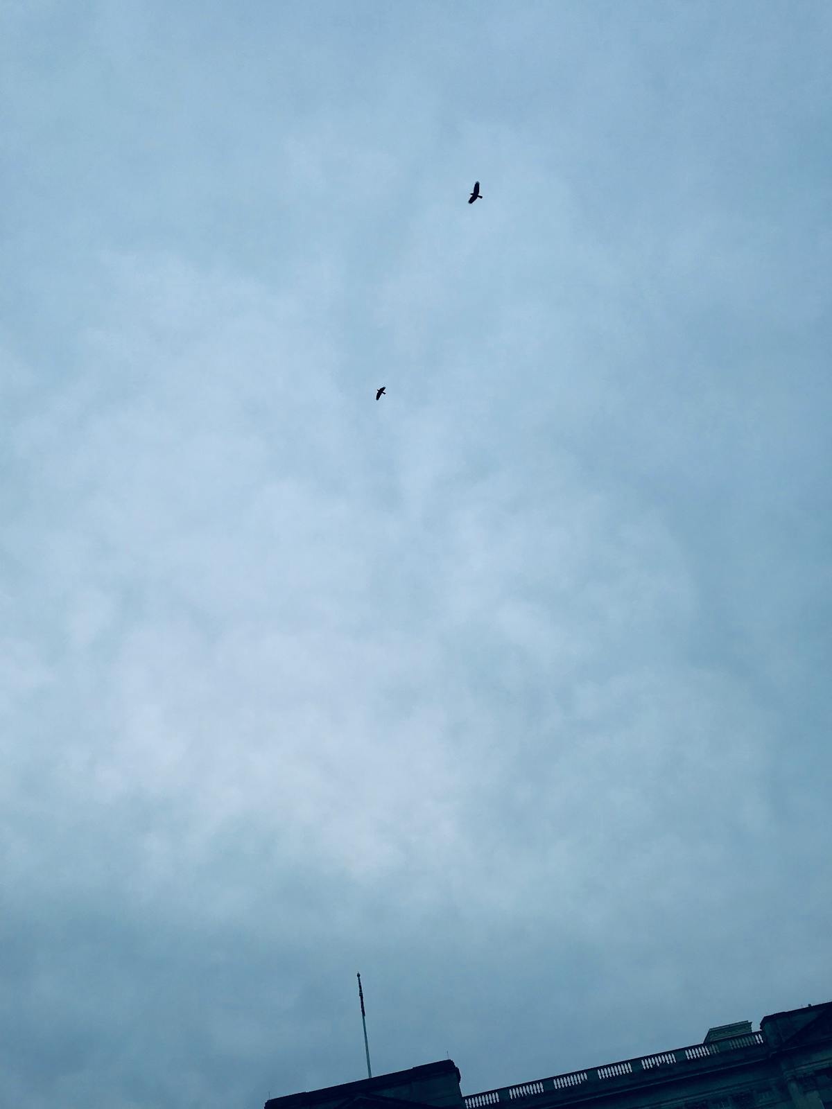 Esto es oro: ¿Tu Empresa Está Preparada para el Colapso Cibe...