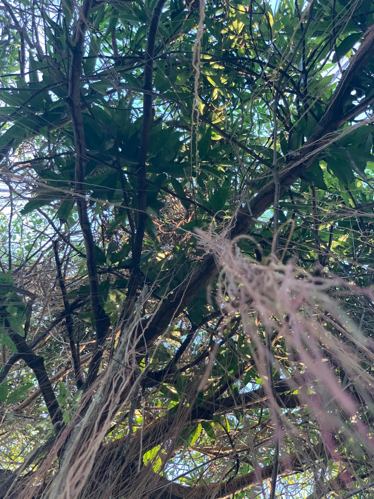 ¿Te Compraste Casa de Renta y Ahora te Duele el Presupuest...