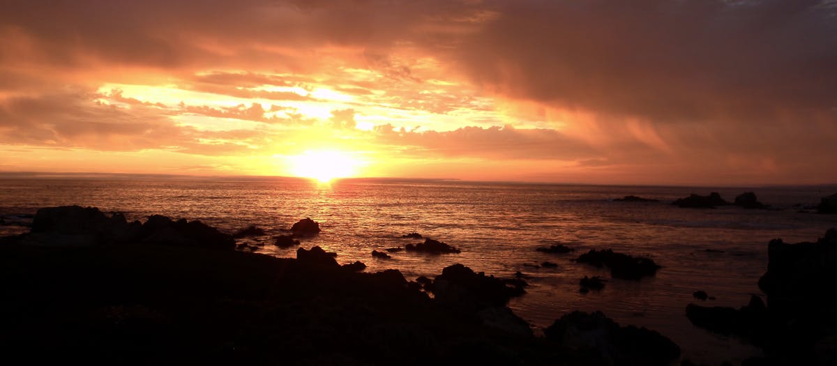 ¿Navarra Se Acomoda a Ayudar o Solo Es una Fama? 🚩