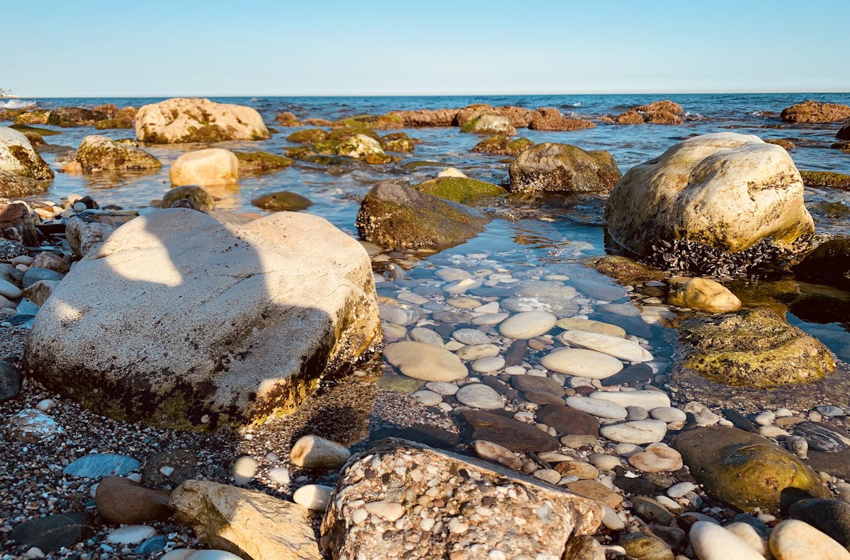 ¿Multitask? ¡Ni de Coña! Así Lo Haces 🤯