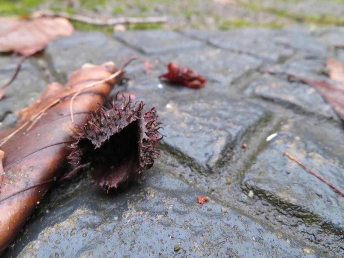 ¿Qué onda con la ciberseguridad del Perú? 🔴🇵🇪