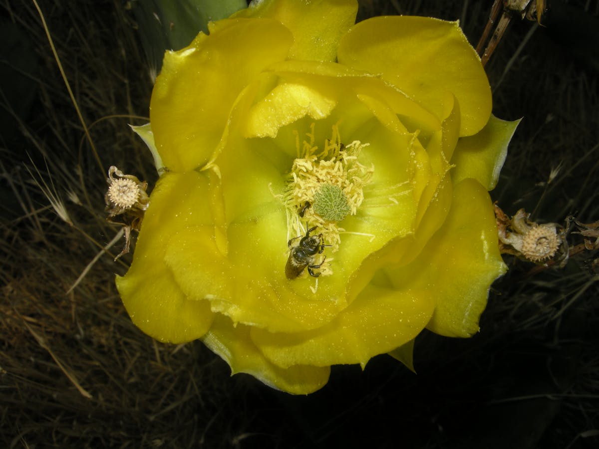 ¿Tú también te levantas a las 3 AM por TikTok? 🤯