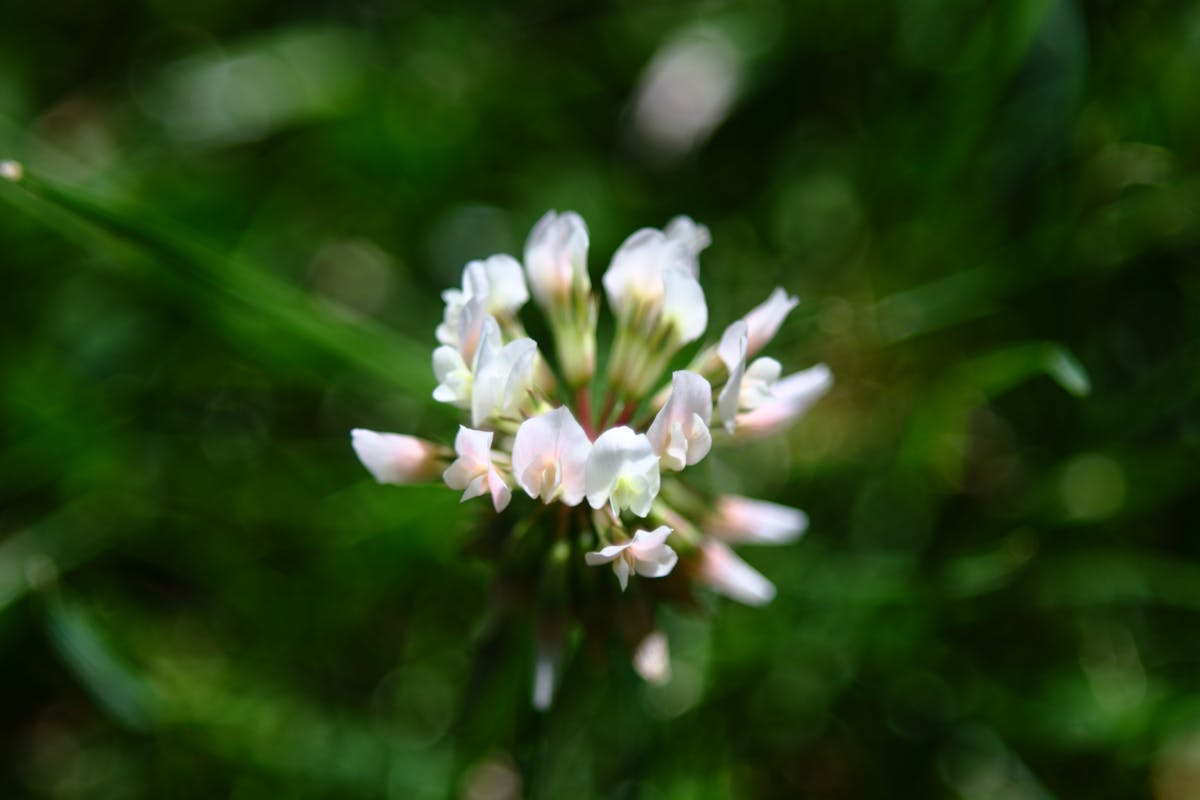 ¿Abusos en la Clase o Solo Fingen Ciberseguridad? (p...