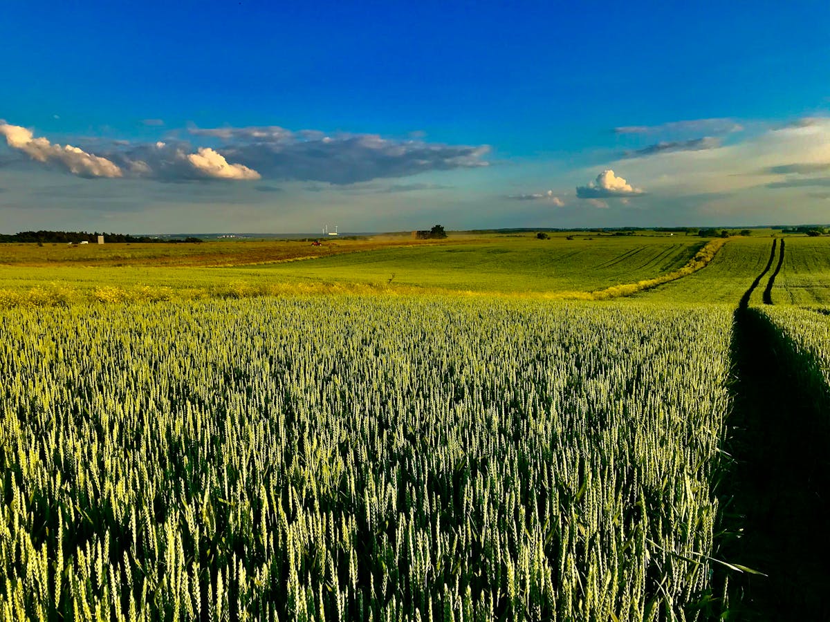 Habit Creep: ¿Estás viviendo al límite o solo te estás ilusion...