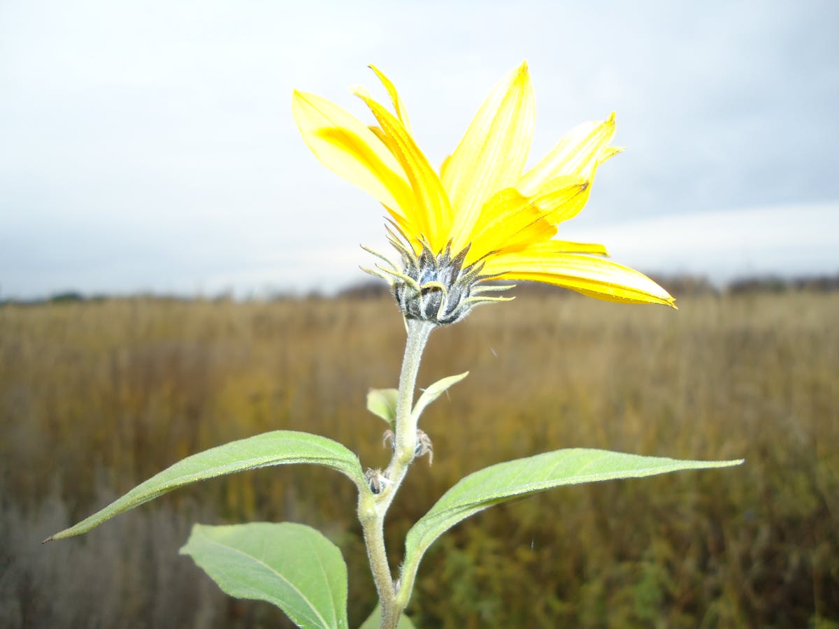 ¿Por qué los Agnósticos Son el Nuevo In en Tecnología? 🤡