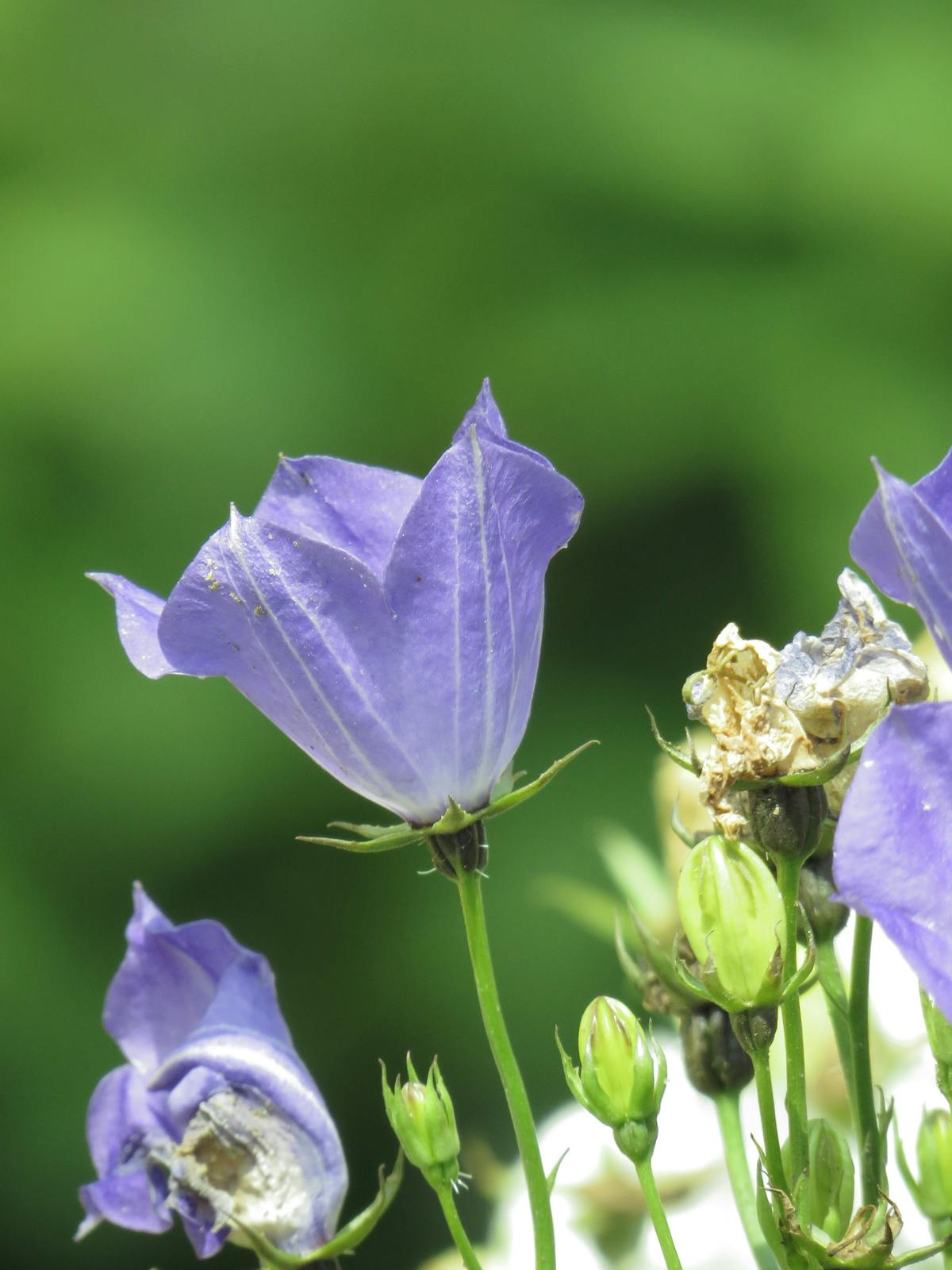 🚩 ¿Tu negocio está seguro como Sinaka o solo finge?