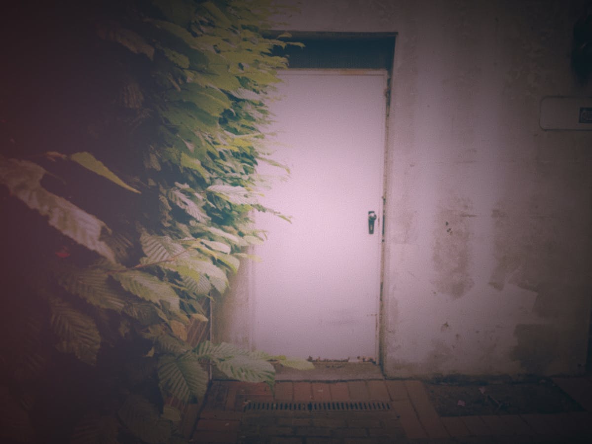 😱 ¿La Guía de Colesterol Es un Escándalo o Un Milagro? 🤡