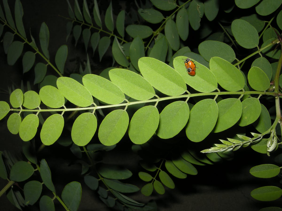 ¿Está Canon que el Edomex Se Va a Desbordar? 🚨