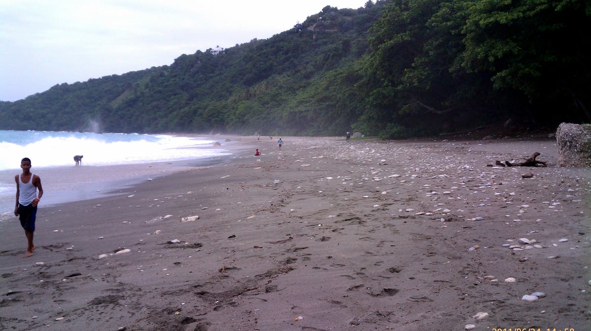 ✨ ¿Los Premios Oscar son más importantes que un Buen Taco ...