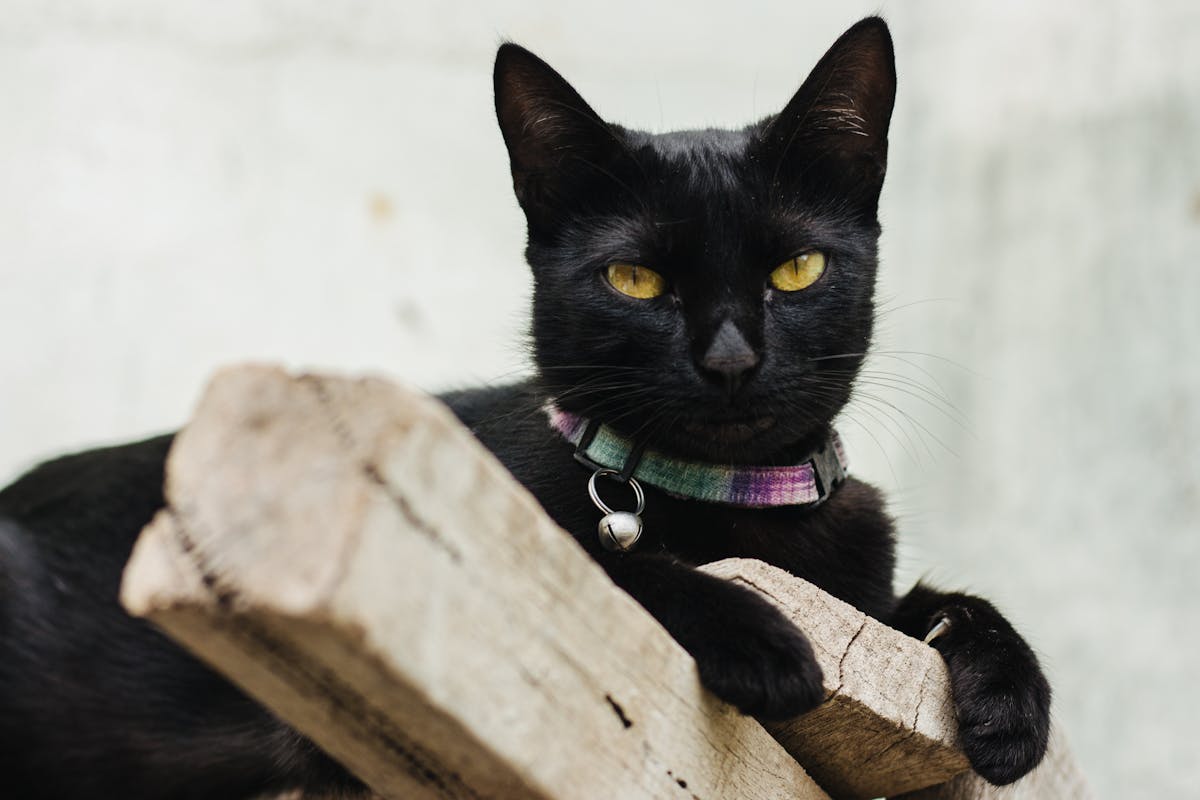 ¿Tu Empresa está a la Vela o con Blockchain?