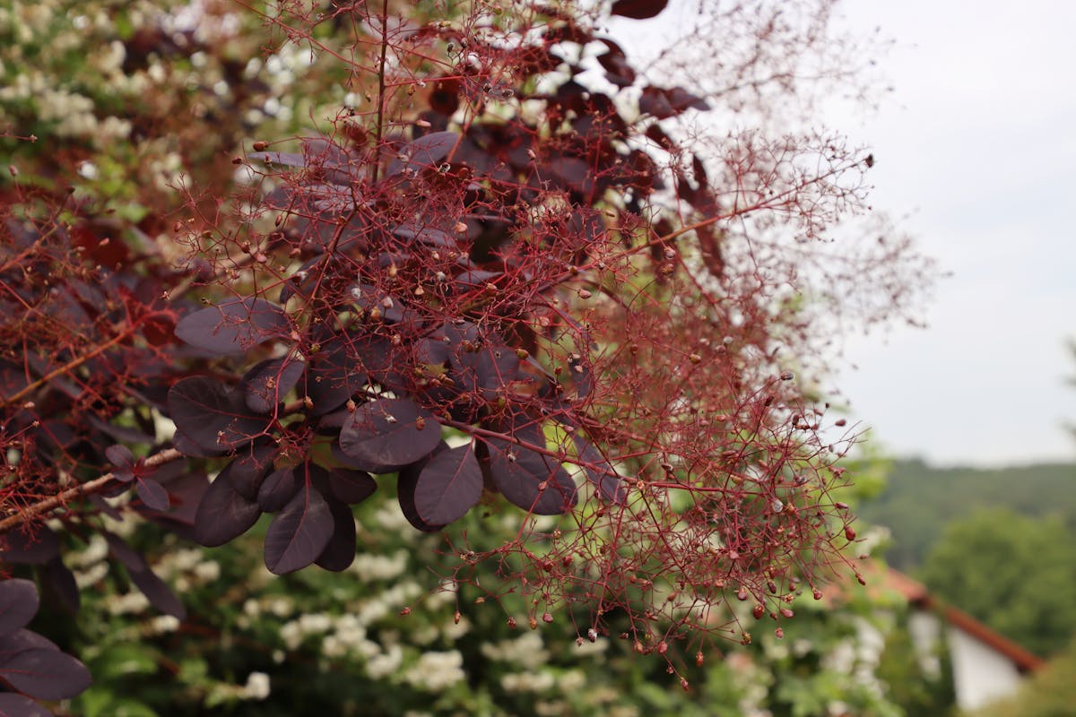 ¿Al Chale! ¿Sabes Cómo Proteger Tus Datos En La Nube? 🤡