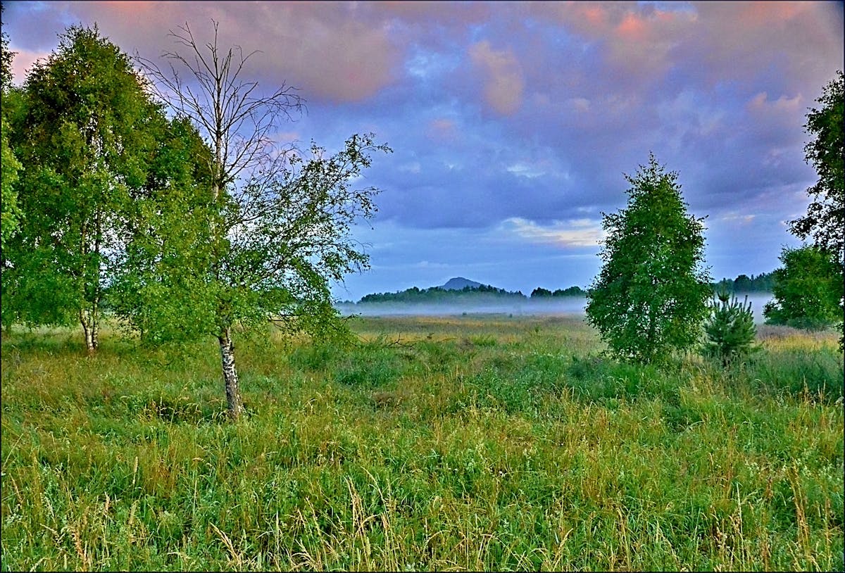 ¿Sylvie Henry es la próxima Queen del Cenart o Solo un Mom...