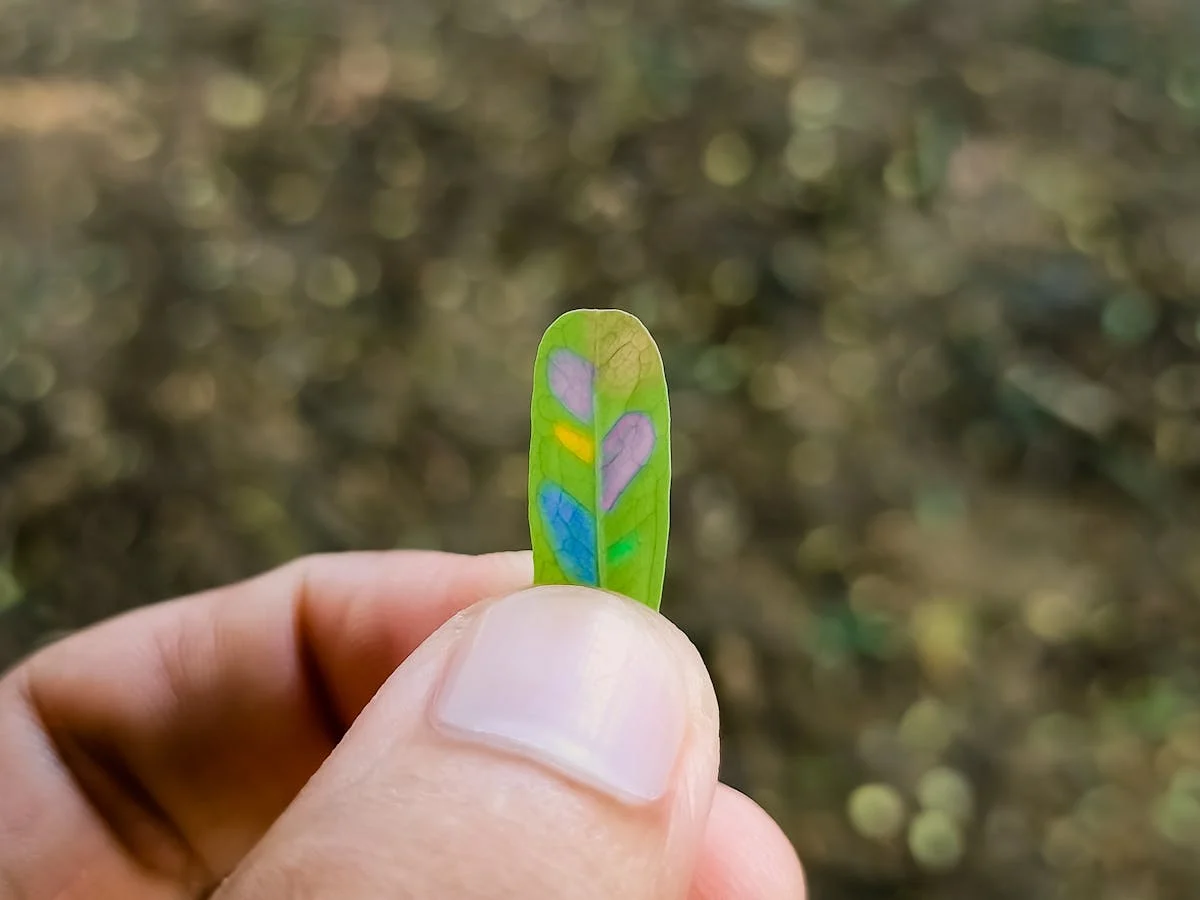 ¿Estás comiendo huevos como un abuelo o un hacker?