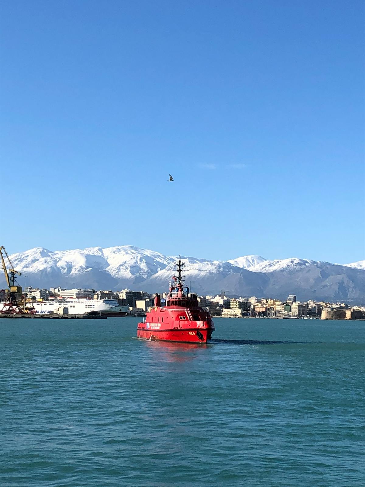 ¿Qué es lo que China Suárez no vio venir? 🤯