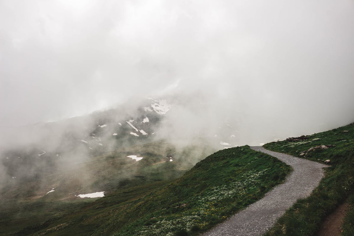 ¿Tlaquepaque Ya Actualizó su Mapa o Solo Se Perdió? 🗺️