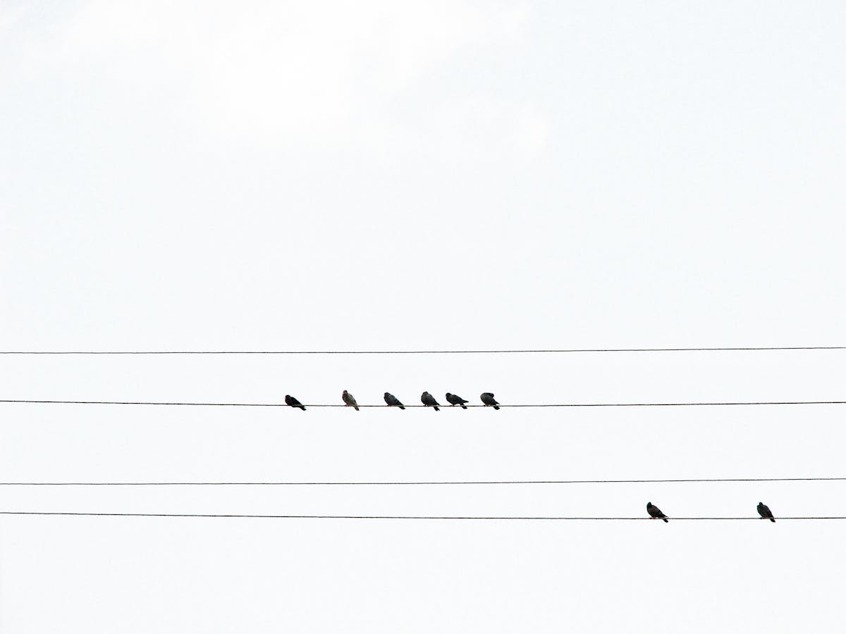 Argentina ¿Dónde Están las Demás Becas? ¡1 solo program...