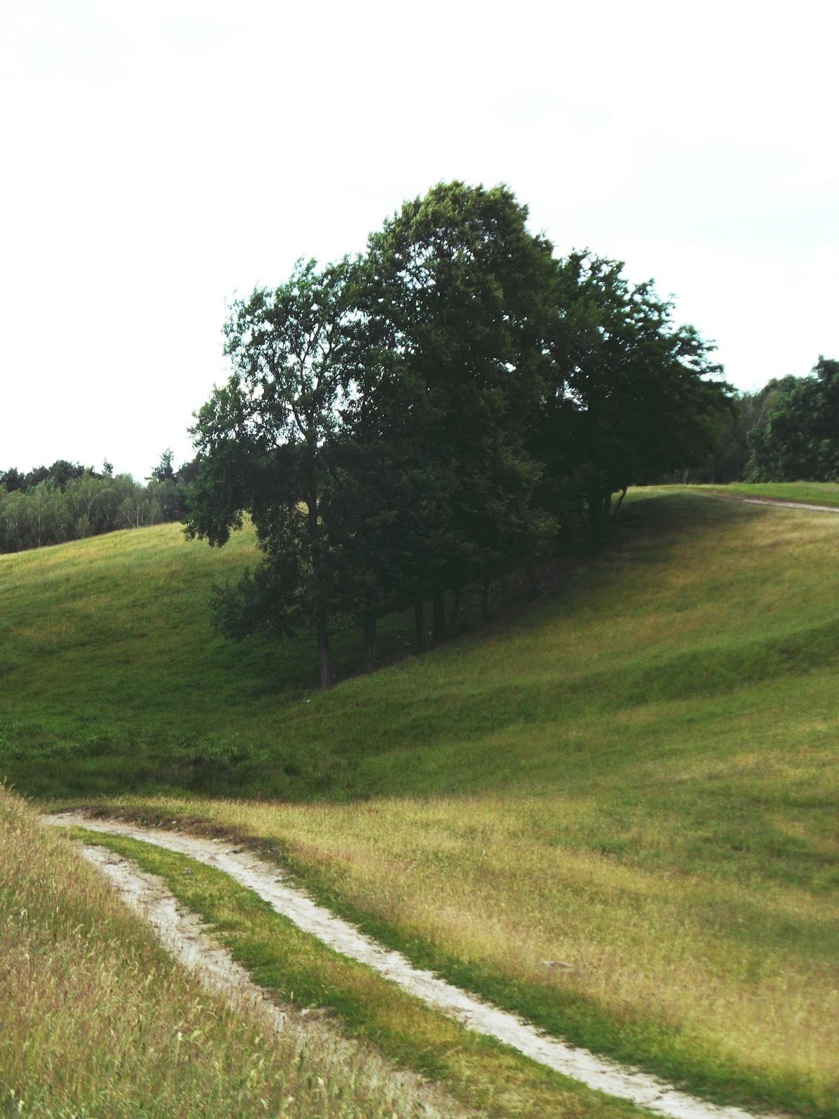 🚩 ¿Tu App Favorita Está Robando Tu Dato? ¡La Verdad te la ...