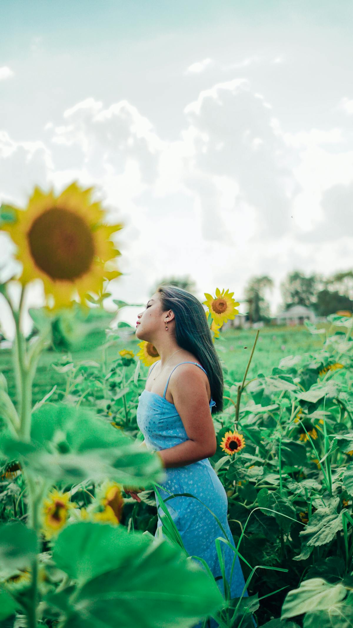 ¿Estás Utilizando Ciberseguridad o Solo Pagando por un Status? 🚩