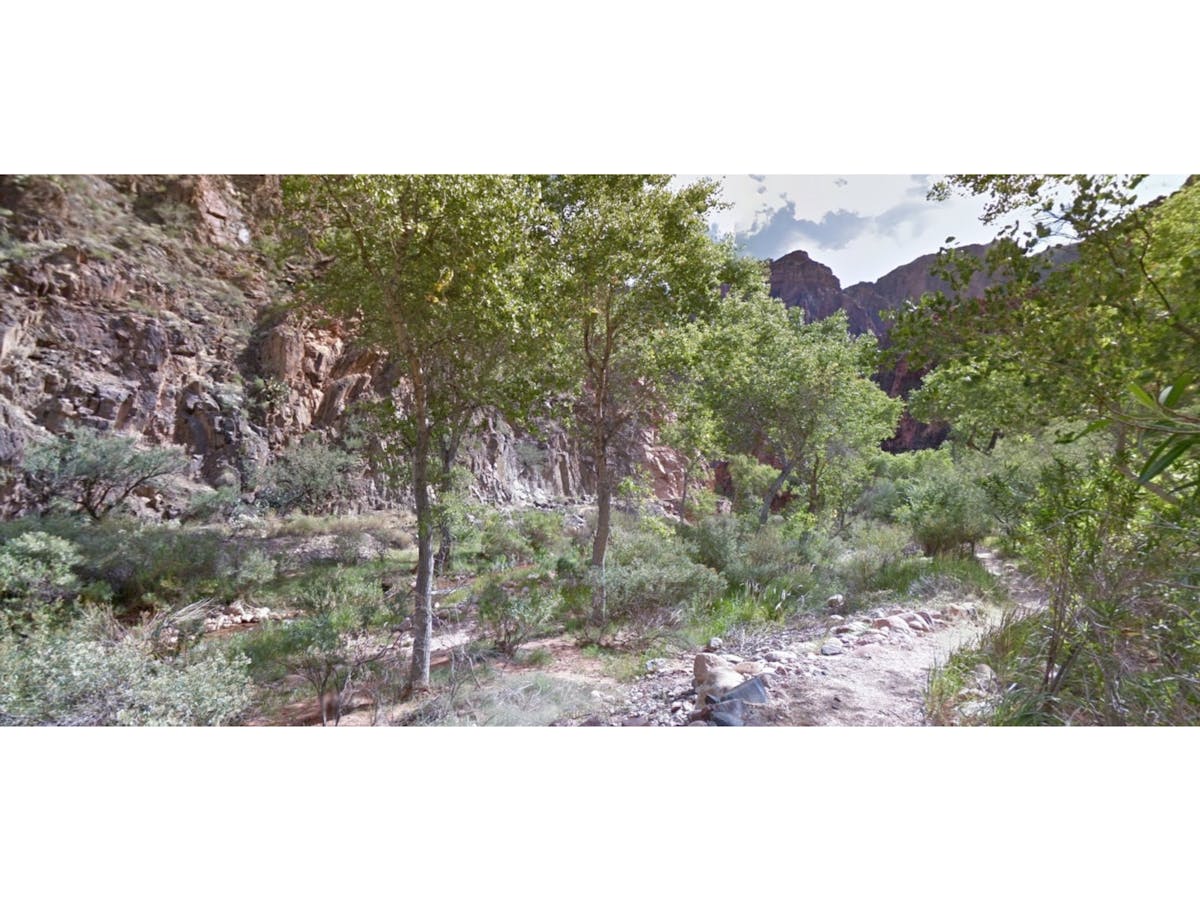 🚩 ¿Sanborns Tiene Seguridad o Solo Se Finge?