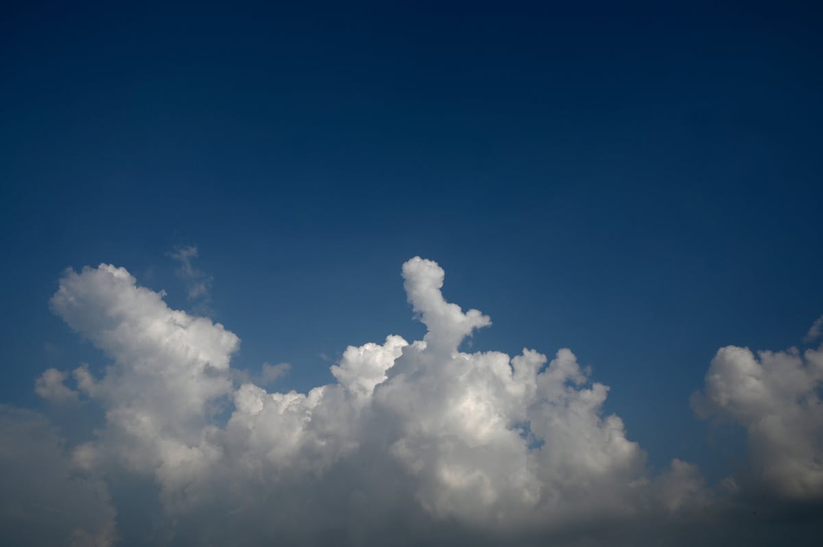 ¿Monitoreo de transporte público? No te preocupes, será un...